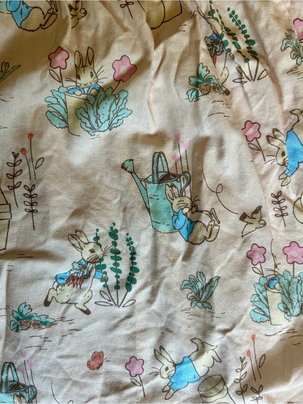 2T Peter Rabbit Sundress (Cracker Barrel)